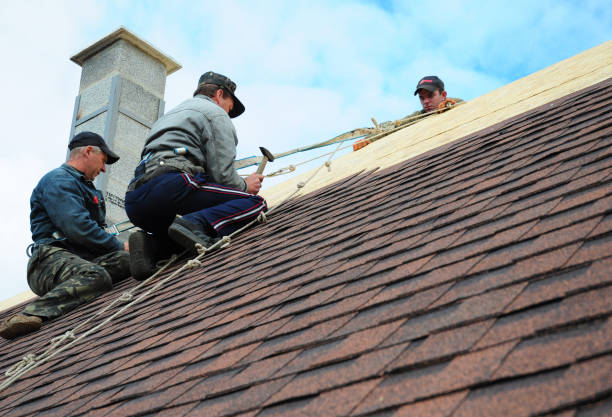 Best Gutter Installation and Roofing  in Prosperity, WV